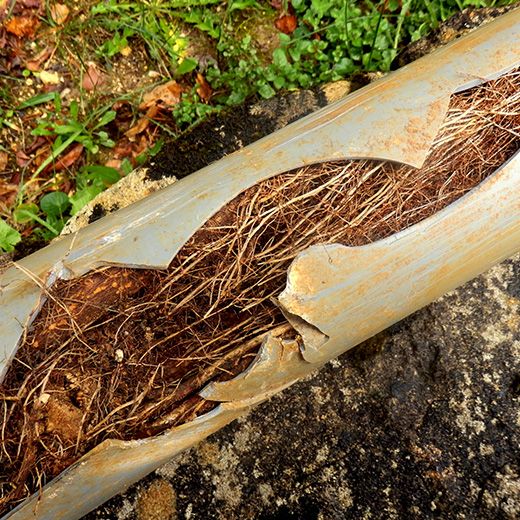 The Drain & Sewer Professionals In Virginia